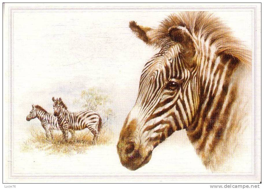 ZEBRES -  N° R  84359 - Zebras