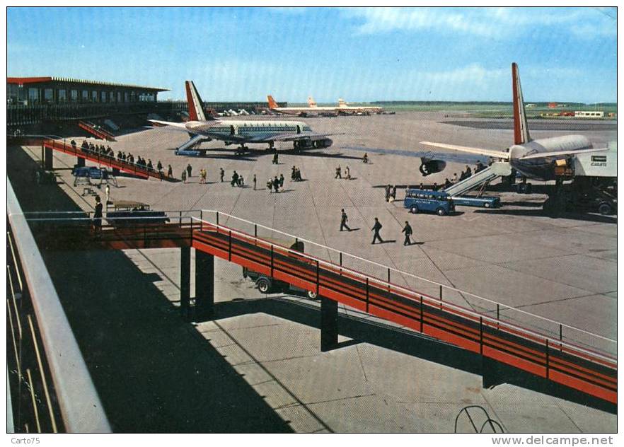 Aéroport Fiumicino Roma - Avions - Frêt Aérien - Aérodromes