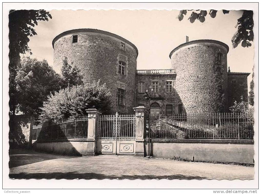 Cpsm , 43 , MONISTROL SUR LOIRE , Le Vieux Chateau - Monistrol Sur Loire