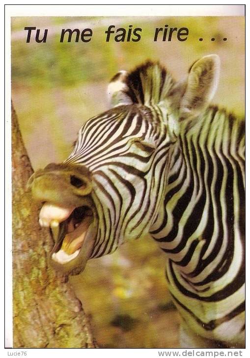 ZEBRE -  Tu Me Fais Rire....  -  N°  8071 - Zebre