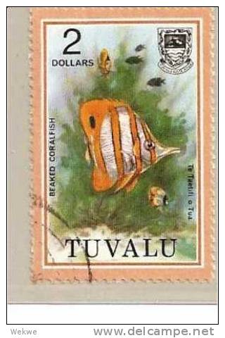 Tuv Mi.Nr.99/ Fische 1979 O - Tuvalu (fr. Elliceinseln)