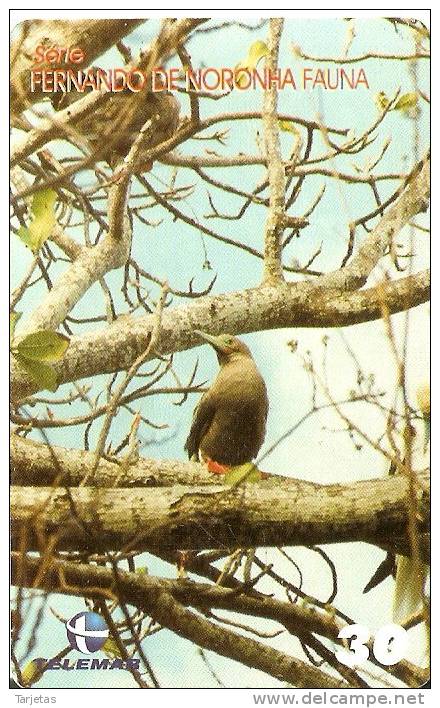 TARJETA DE BRASIL DE UN  PAJARO  (BIRD-PAJARO) - Otros & Sin Clasificación