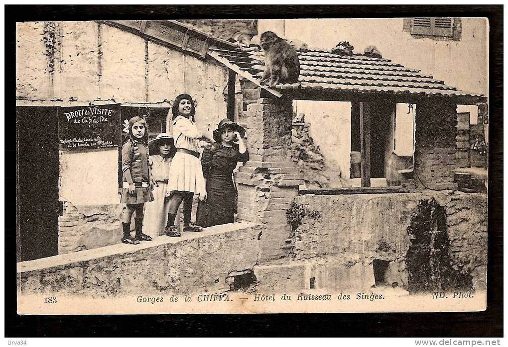 CPA AFRIQUE -VILLAGES D'ALGÉRIE- BLIDA : GORGES DE CHIFFA-  GORGES DE CHIFFA -HOTEL DU REUISSEAU DES SINGES - ANIMÉ- - Blida