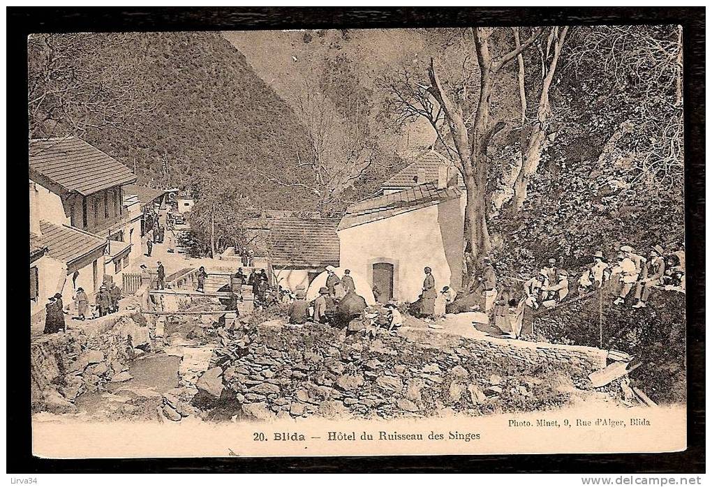 CPA AFRIQUE -VILLAGES D'ALGÉRIE- BLIDA : GORGES DE CHIFFA- HOTEL DU RUISSEAU DES SINGES - TRES ANIMÉ- - Blida