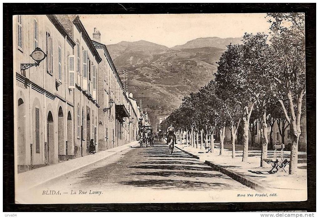 CPA AFRIQUE -VILLAGES D'ALGÉRIE- BLIDA : LA RUE LAMY ANIMÉE- ATTELAGE- CAVALIER- - Blida