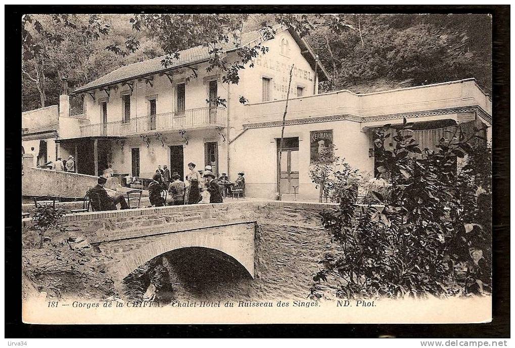 CPA AFRIQUE -VILLAGES D'ALGÉRIE- BLIDA : GORGES DE CHIFFA- CHALET-HOTEL DU RUISSEAU DES SINGES - TRES ANIMÉ - Blida