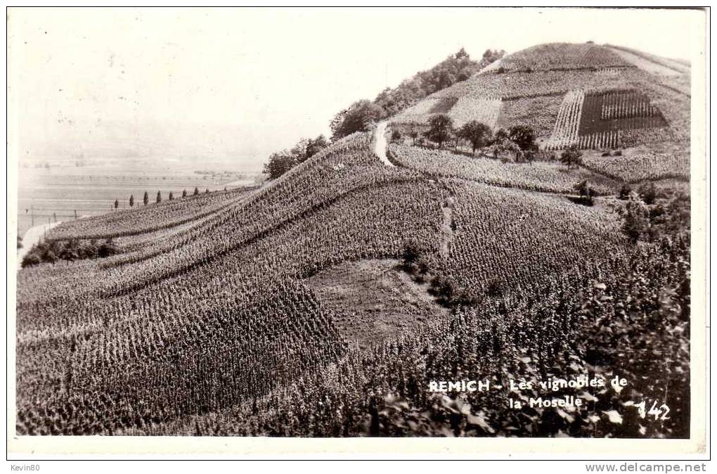 LUXEMBOURG Remich Les Vignobles De La Moselle - Remich