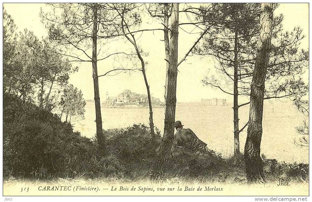 513 - Carantec (Finistère) - Le Bois De Sapins, Vue Sur La Baie De Morlaix - Carantec