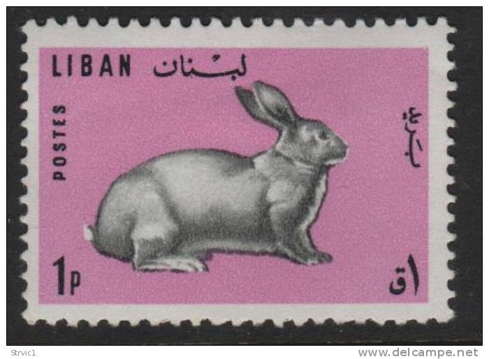 Lebanon, Scott # 441 Mint Hinged Rabbit, 1965 - Lebanon