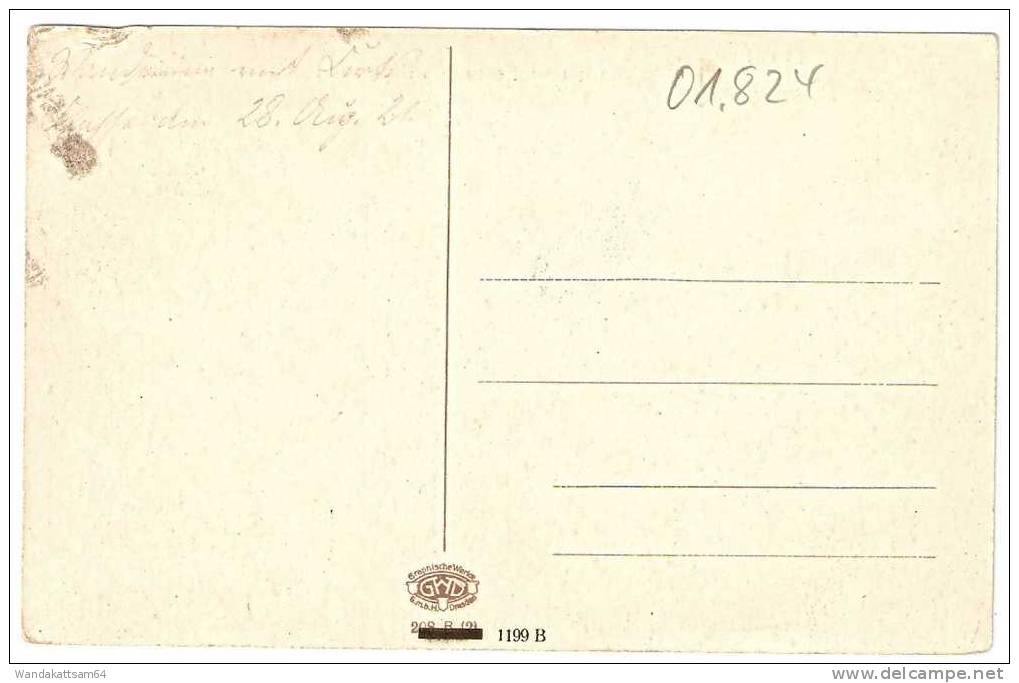 AK Stadt Und Festung Königstein, Sächs. Schweiz  Mit Bärenstein Graphische Werke Dresden 1199 B - Königstein (Sächs. Schw.)