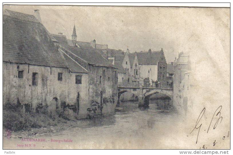 Carte Postale  Belgique  Audenarde Trés Beau Plan - Oudenaarde