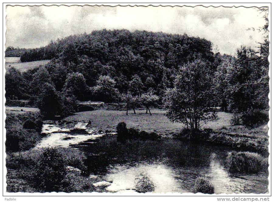 Carte Postale  Belgique Bertrix  Le Ruisseau Des Allènes Au Maka Trés Beau Plan - Bertrix