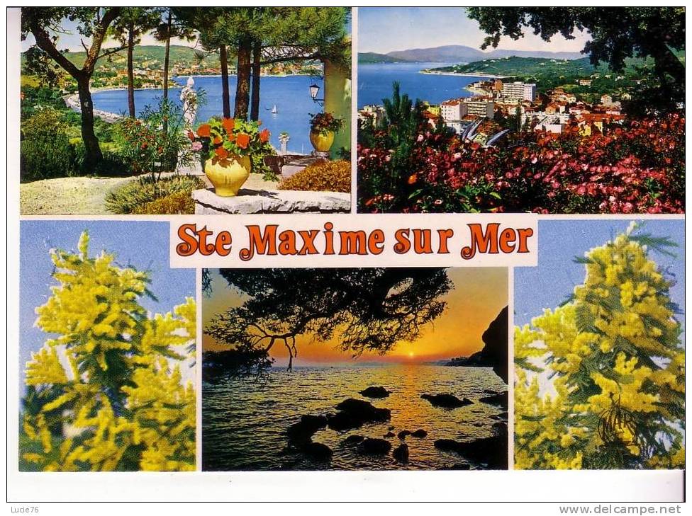 SAINTE MAXIME SUR MER -  5 Vues - N° 14331 - Sainte-Maxime