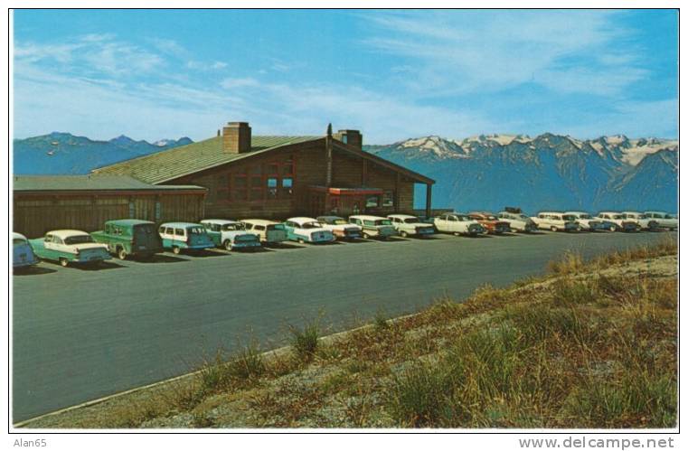 Hurricane Ridge Olympic National Park Washington State, Roadside 1950s Vintage Autos On Postcard - Other & Unclassified