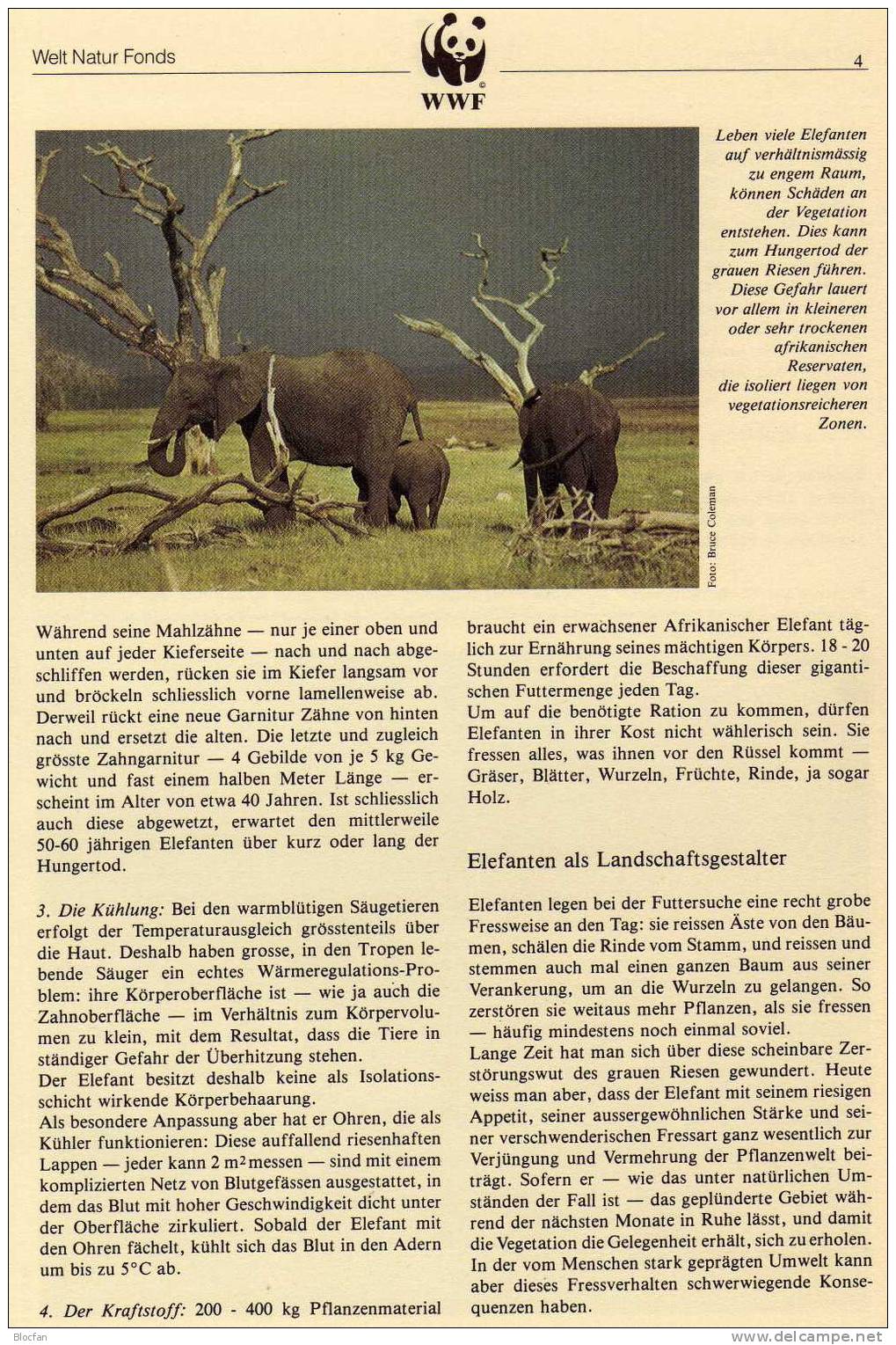 WWF Elefanten In Afrika Uganda 361/4 ** Plus FDC 43€ - Uganda (1962-...)