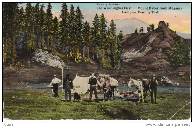 Mt. Baker From Magama Camp On Deming Trail North Cascade Mountains WA State On 1910s Vintage Postcard, Camping - Other & Unclassified