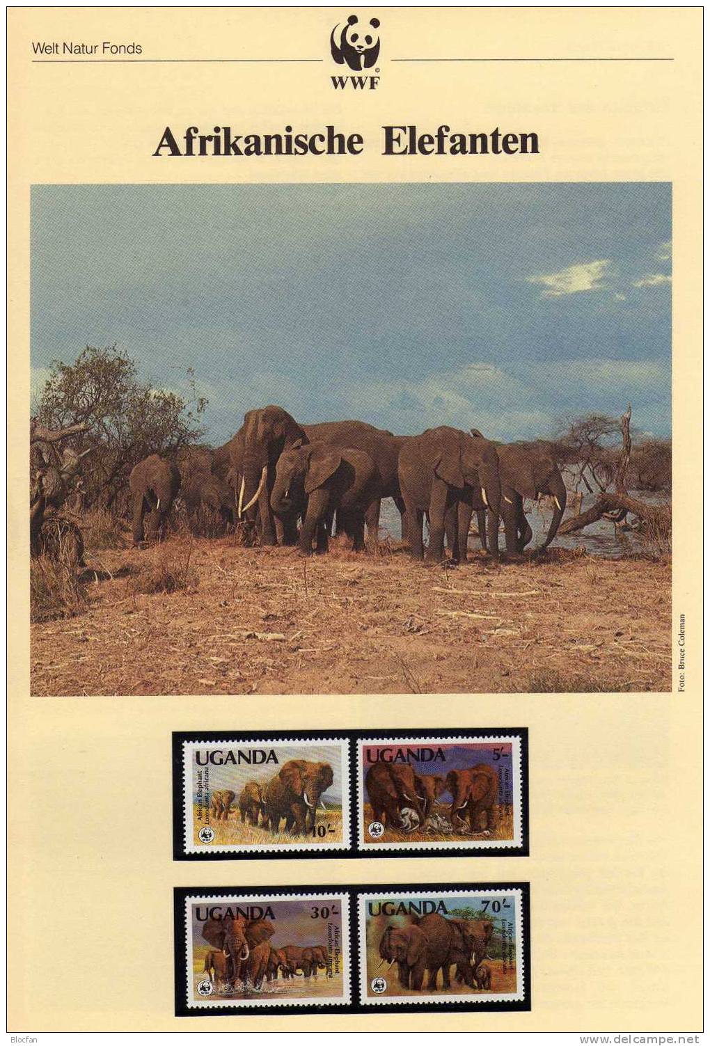 Afrikanische Elefanten 2.WWF Serie 1991 Uganda 960/3 ** 10€ Elefanten-Friedhof Savanne Loxodonta Africana Set Of Africa - Ouganda (1962-...)