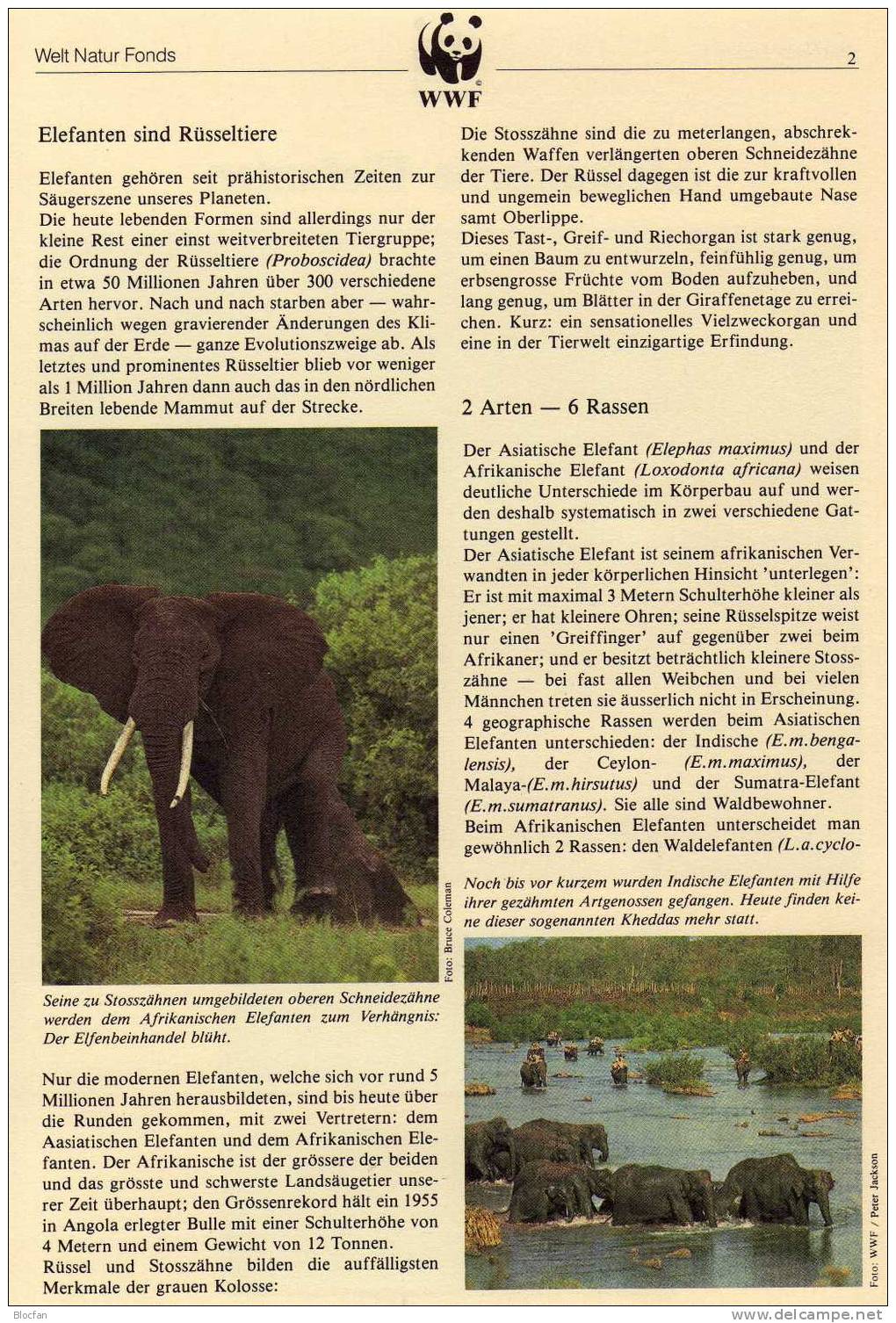 WWF Elefanten In Afrika Uganda 361/4 O Plus 4 MKt. 30€ - Ouganda (1962-...)