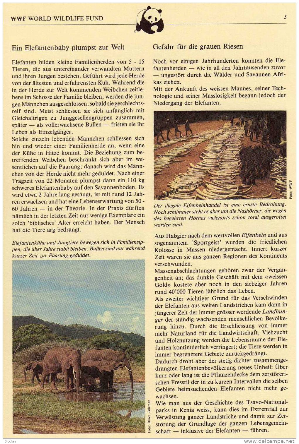 WWF Elefanten in Afrika Uganda 361/4 o plus 4 MKt. 30€