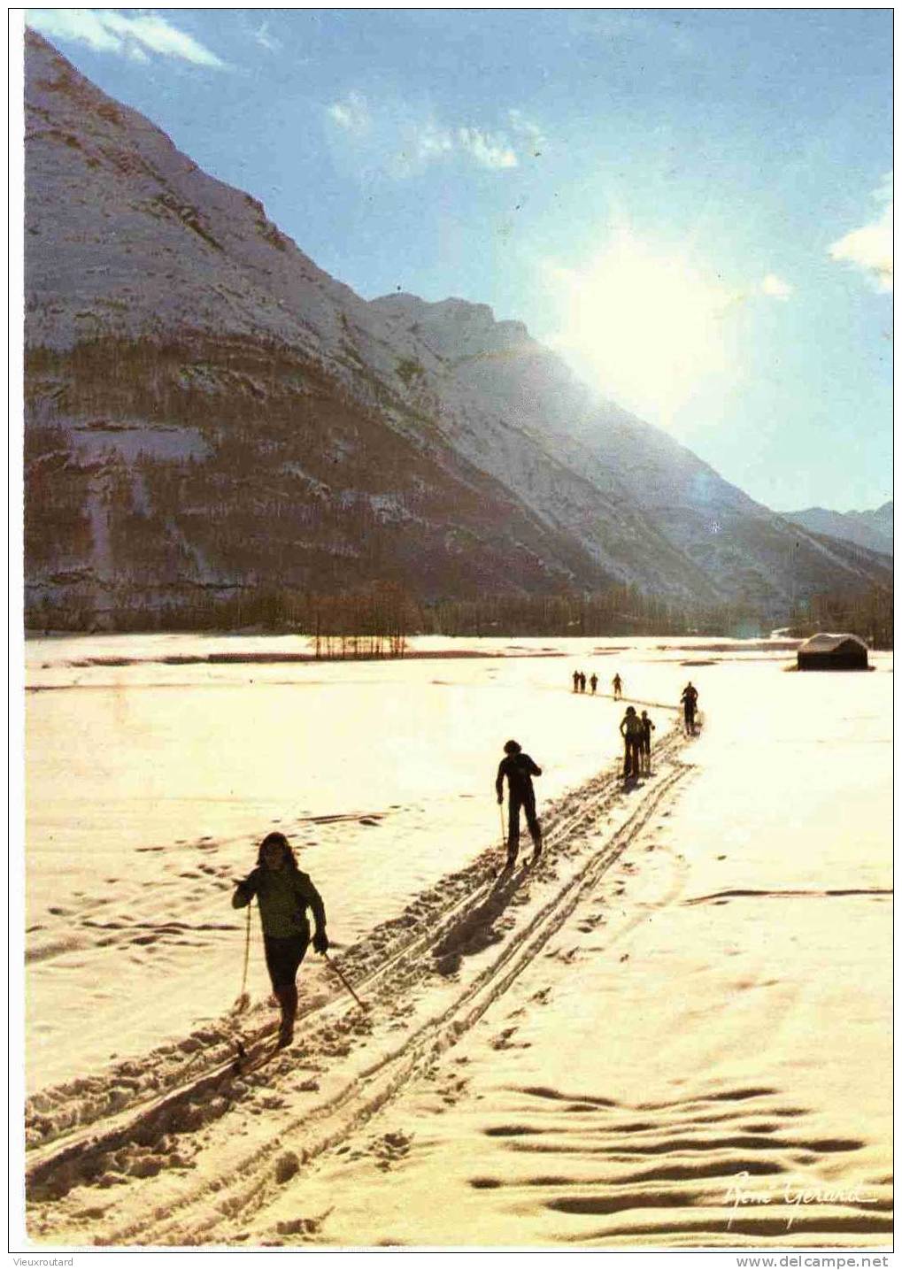 CPSM. CONTRE JOUR. SKI DE FOND... - Contre La Lumière