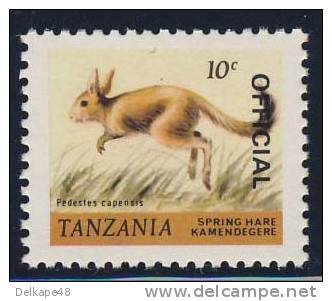 Tanzania 1980 Mi 161 YT 163 SG 307 ** Pedestes Capensis : Spring Hare / Lièvre Sauteur / Springhase / Springhaas - Knaagdieren