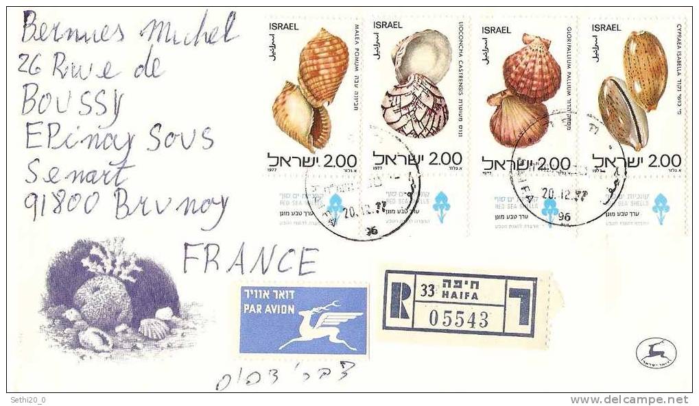 Israel Shells / Coquillages On Registered Letter - Coneshells