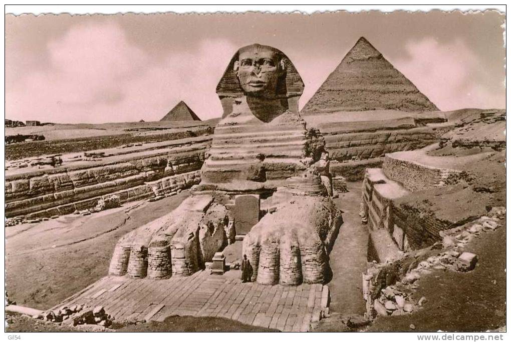 Oblitération PAQUEBOT PORT SAID SUR TIMBRE D'Egypte Sur Cpa  En 1952 - Mv71 - Altri & Non Classificati