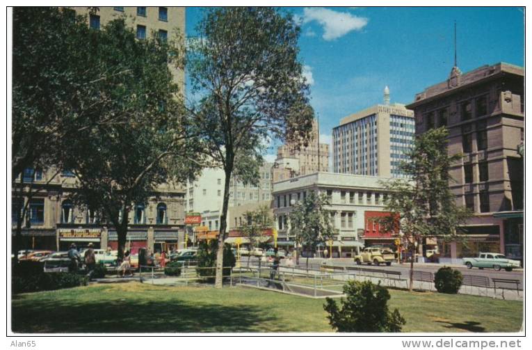 El Paso Texas, Alligator Plaza Park, Animated Street Scene On 1950s Vintage Postcard, US Autos - El Paso