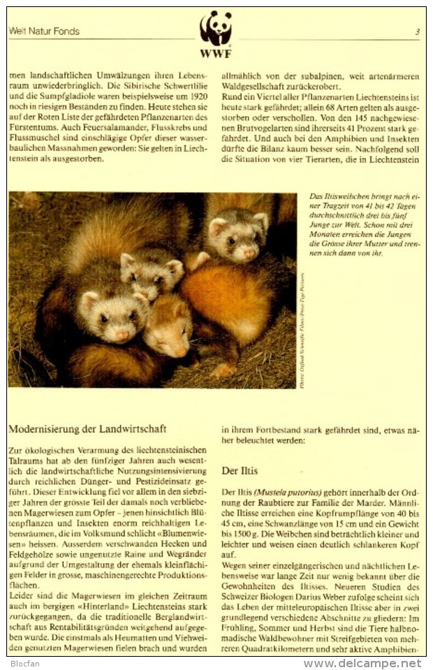 Maxicards Kleintiere WWF-Set 83 Liechtenstein 967/0 4x MC 6€ Dokumentation Naturschutz 1989 Wildlife Fauna Fürstentum FL - Brieven En Documenten