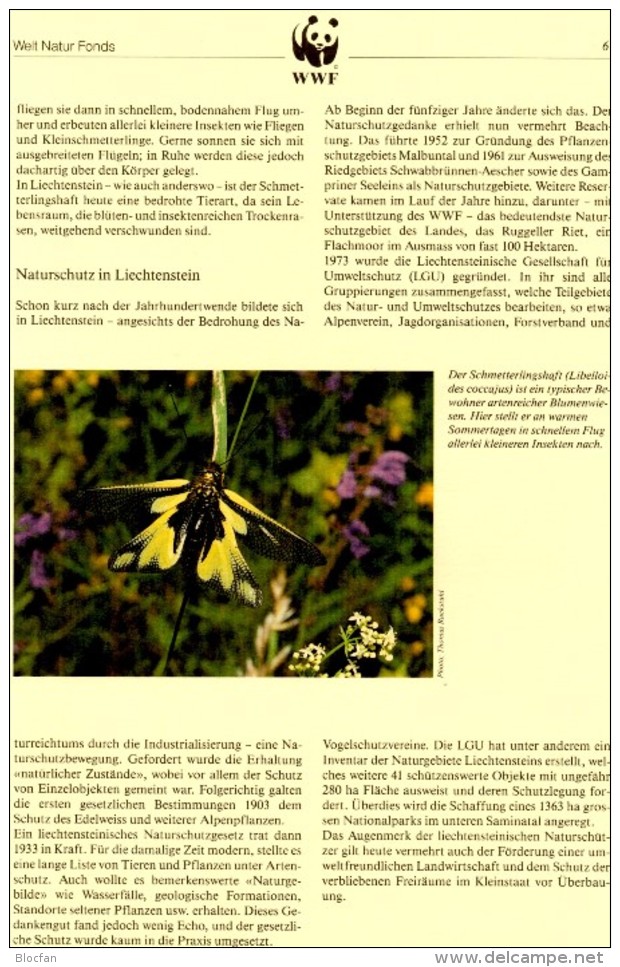 Maxicards Kleintiere WWF-Set 83 Liechtenstein 967/0 4x MC 6€ Dokumentation Naturschutz 1989 Wildlife Fauna Fürstentum FL - Brieven En Documenten