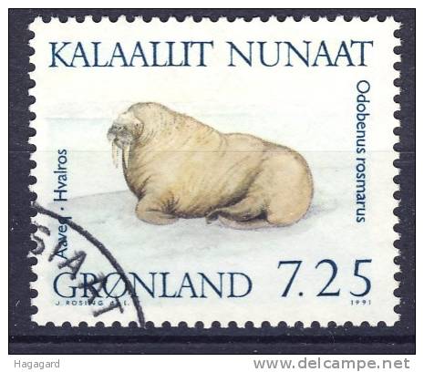 #Greenland 1991. Seals.  Michel 214. Cancelled (o) - Usados