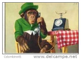 Cpm Singe Et Telephone Monkey - Monos