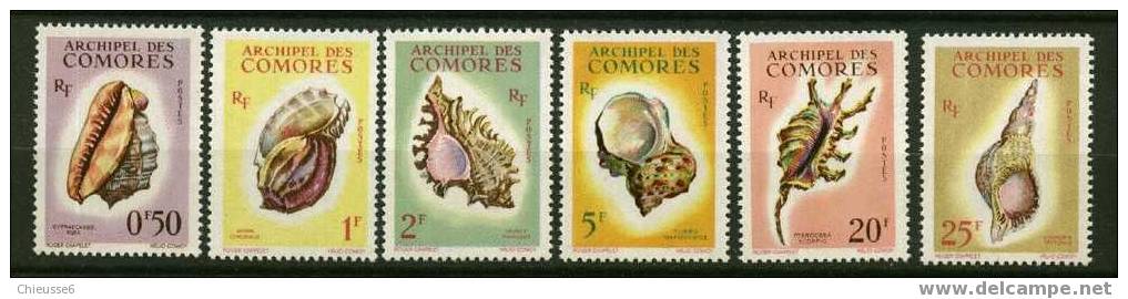 Comores ** Série N° 19 à 24 - Coquillages - Unused Stamps