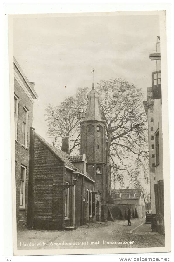 HARDERWIJK - Accademiestraat Met Linnëustoren (1580) - Harderwijk