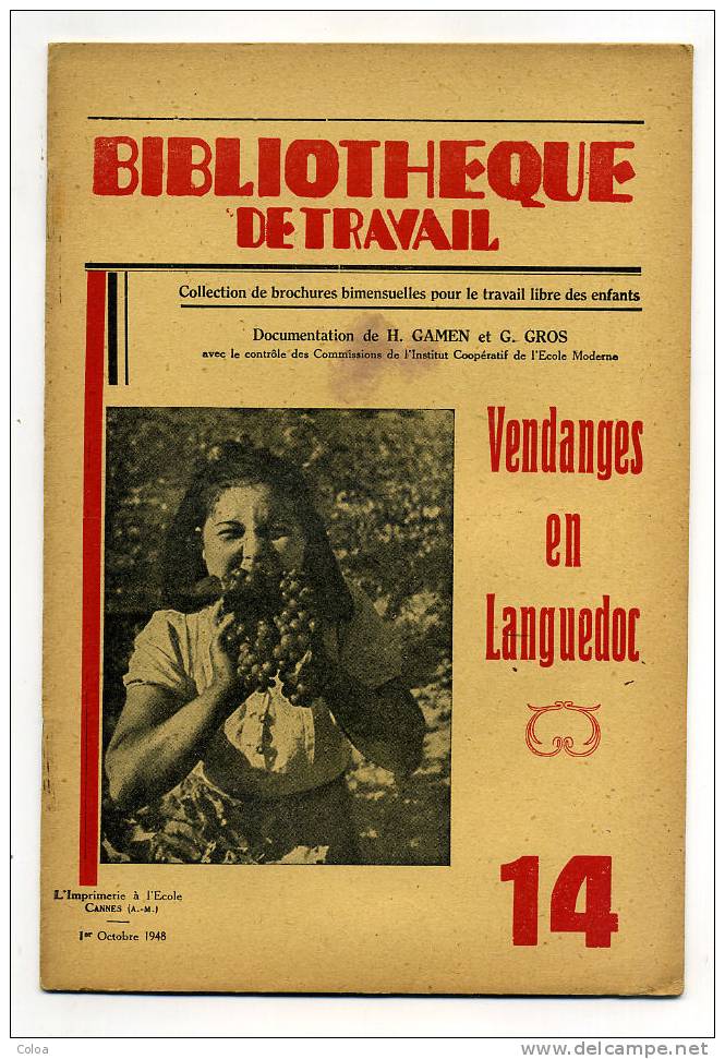 Vendanges En Languedoc 1948 - Aviation