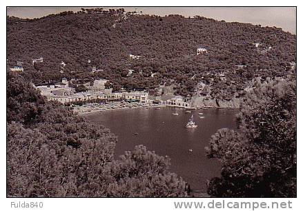 CPSM.      BOIS DE NADRIN.          Les Sangliers. - Houffalize