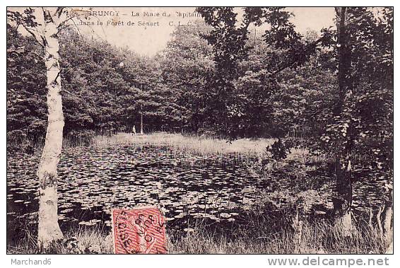 ESSONNE.BRUNOY.LA MARE DU CAPITAINE DANS LA FORET DE SENART - Brunoy