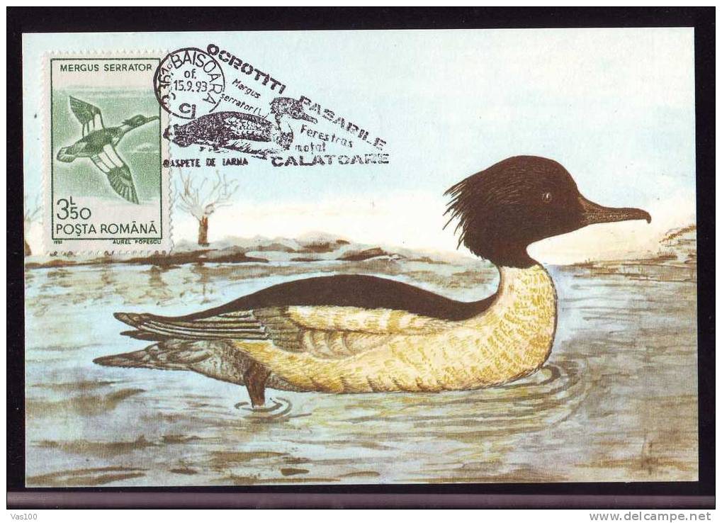 BIRDS -Ducks -CANARDS -  MAXICARD - MAXIMUM CARD ROMANIA 1993 ! . - Ducks