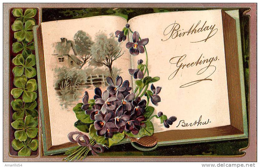RAR Litho Prägelitho Embossed Greetingcard USA Blumen Kleeblatt Cca 1905 - Naissance