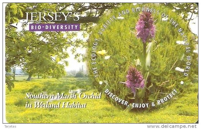 JER-171 TARJETA DE JERSEY ORCHID  (57JERA)   ORQUIDEA-FLOWER - [ 7] Jersey Und Guernsey