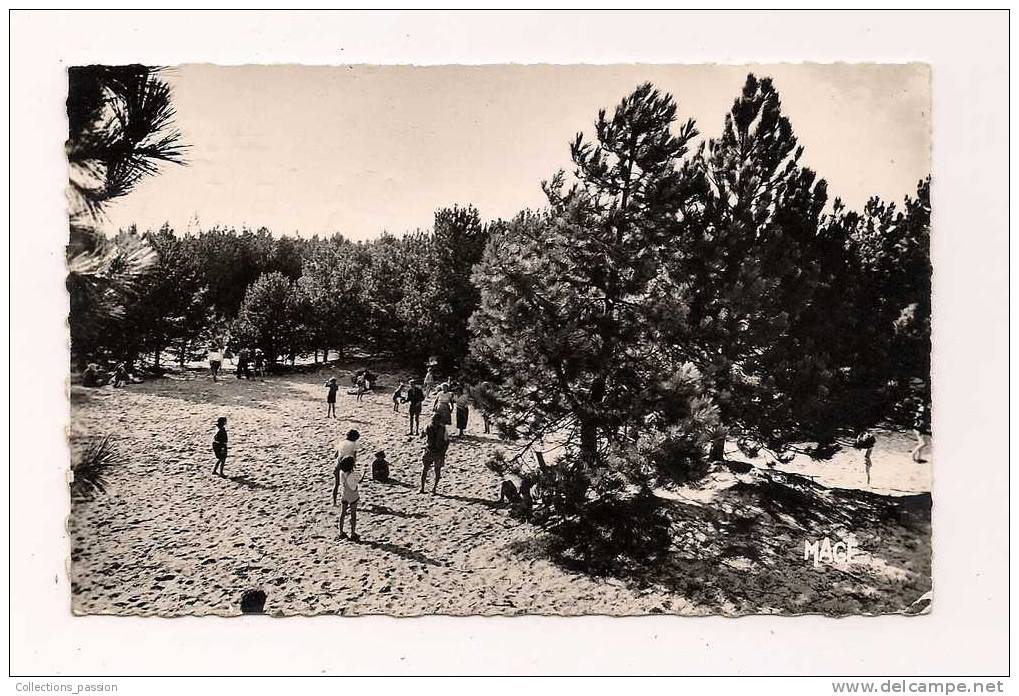 Cp , 80 , QUEND PLAGE LES PINS , Dans La Forêt De Pins , Loisirs , Voyagée 1959 - Quend