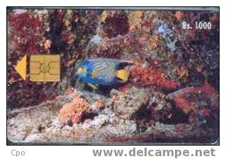 # VENEZUELA 28 Pez Azul Rey (Fauna  Marina I) 1000 Gem  -fish,poisson- Tres Bon Etat - Venezuela