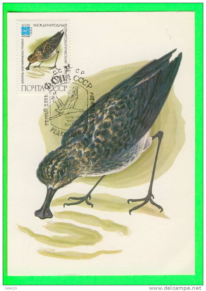OISEAUX - BIRD - CARTE MAXIMUM RUSSE,1982 - - Maximumkarten