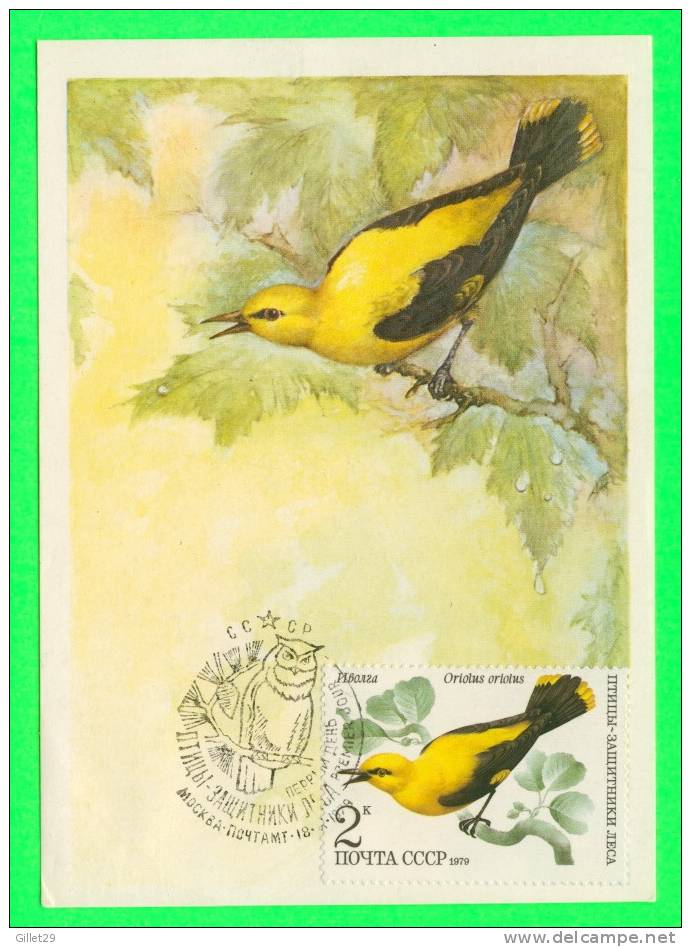 OISEAUX - BIRD - CARTE MAXIMUM RUSSE,1979 - - Maximumkaarten