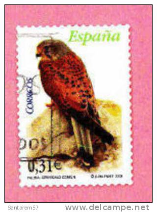 Timbre Oblitéré Used Stamp Sêlo Carimbado Fauna Cernicalo-Comun 0,31EUR ESPAGNE SPAIN ESPANHA Année 2008 - Errors & Oddities
