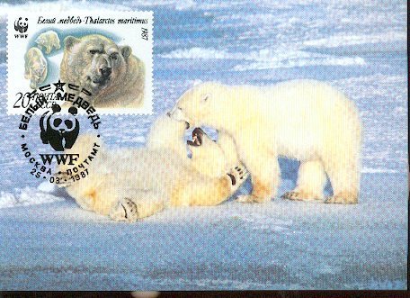 RUSSIE  WWF CARTE MAXIMUM NUM.YVERT 5393  FAUNE MENACEE  OURS BLANC - Cartes Maximum