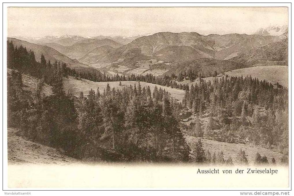 AK 385 Aussicht Von DerZwieselalpe Würthle U. Sohn - Bad Toelz