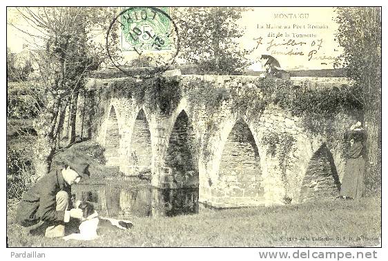 85.  MONTAIGU.  LA MAINE AU PONT ROMAIN DIT DE LA TONNETTE.  ANIMATION. CHIEN. 1907 - Montaigu