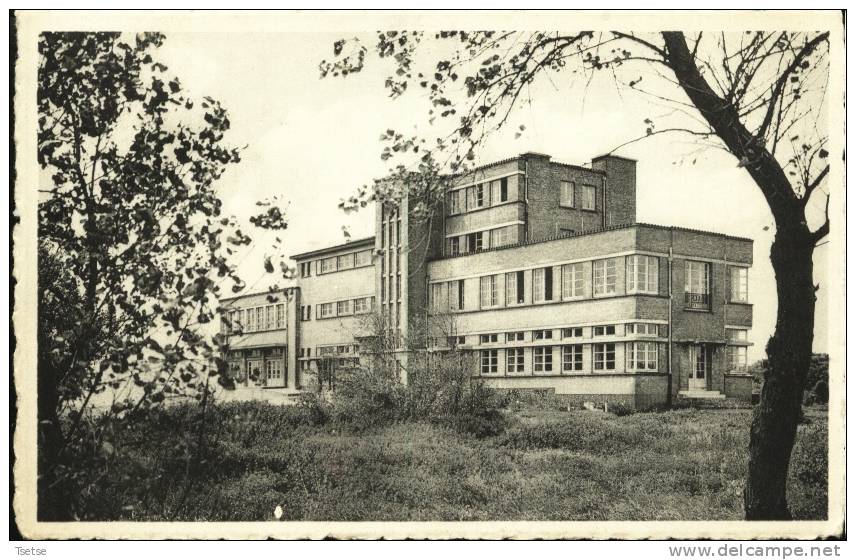 Oostduinkerke-Duinpark - " Joie Et Santé "  -Maison De Vacances Des Ligues Ouvrières .....-1953 - Oostduinkerke