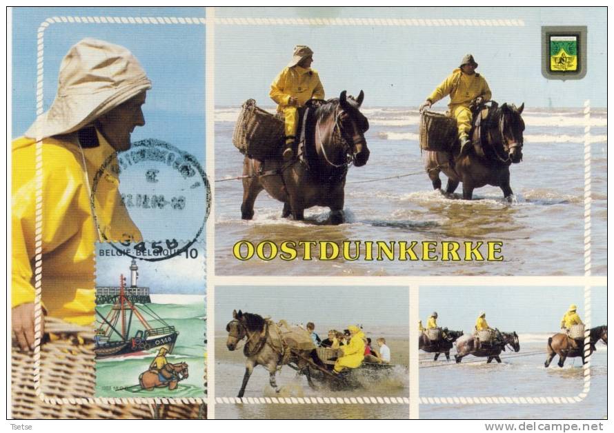 Oostduinkerke - Garnaalvissers / Pêcheurs De Crevettes -Speciaal -Maximafilie /maximaphilie 1986 - Oostduinkerke